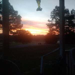 Meet your Posher, Boone